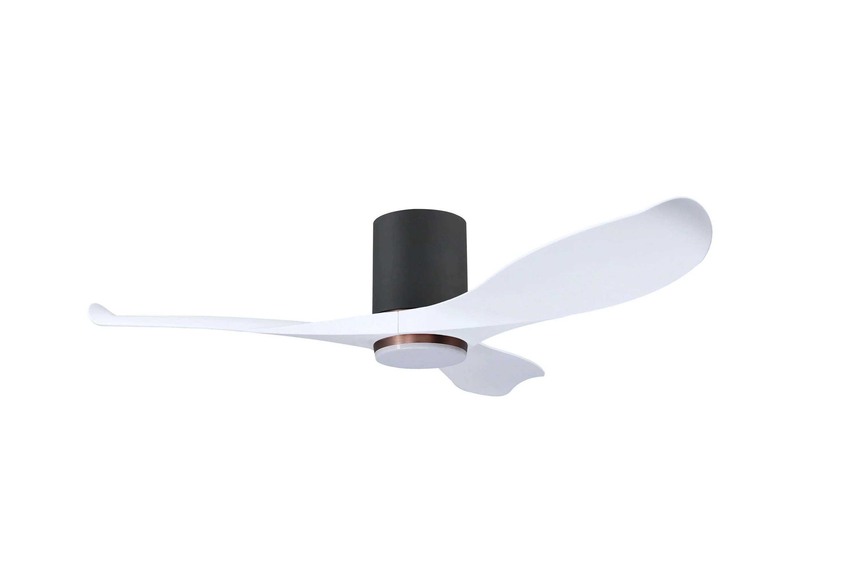 Thumbnail 29