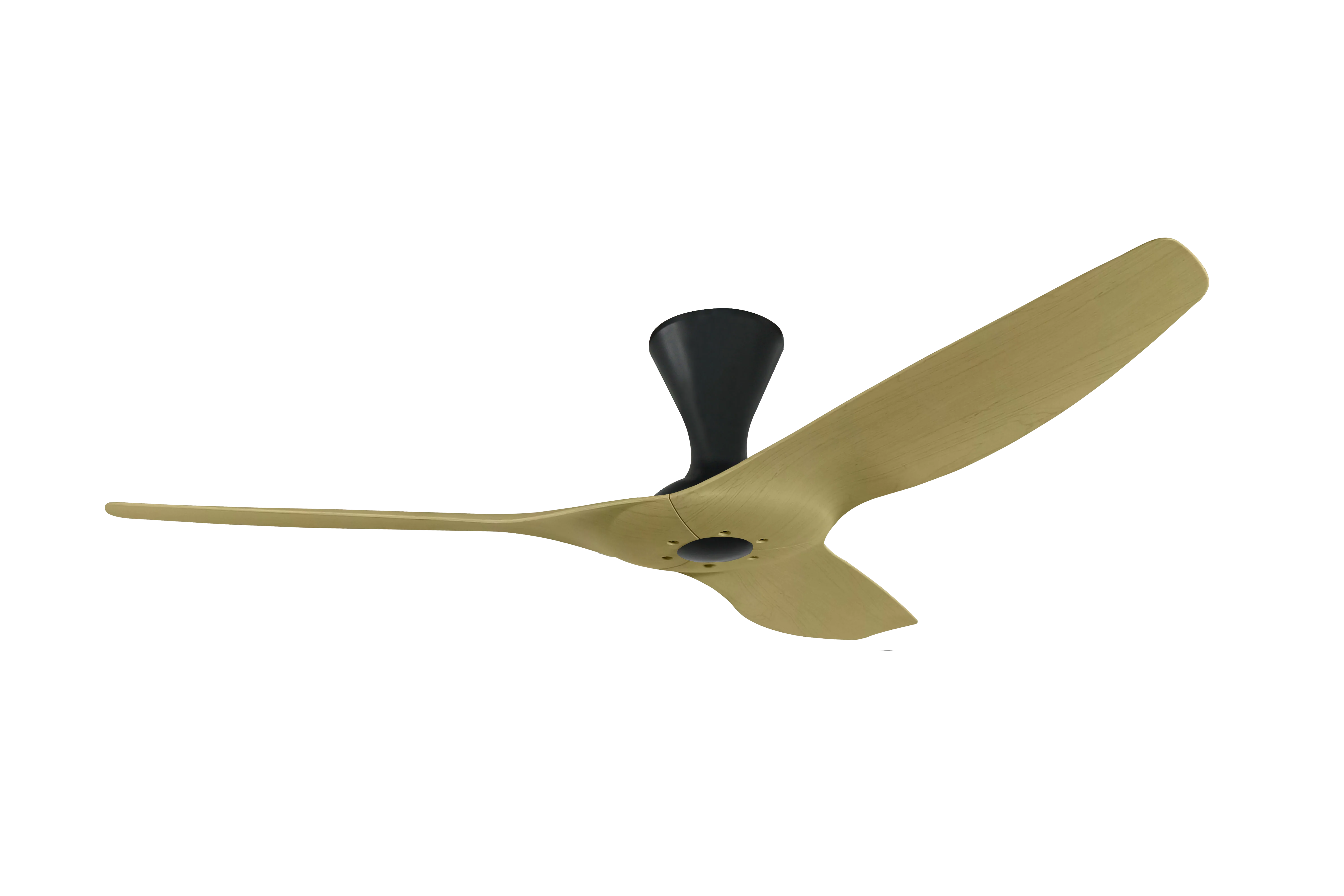PO ECO (PointOne) Ceiling Fan
